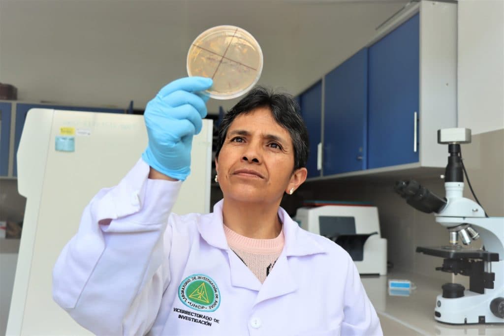 Investigación Académica y Talleres