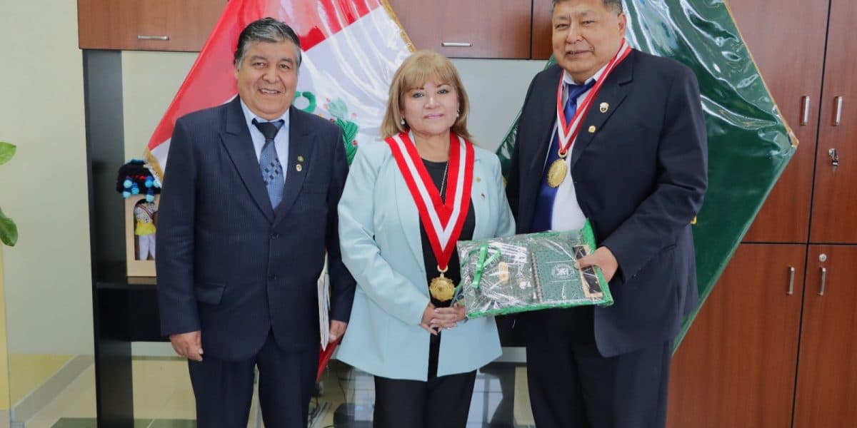 Investigación Académica y Talleres